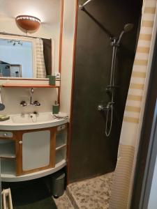 een badkamer met een wastafel en een douche bij Le Calme à la source in Bréchamps
