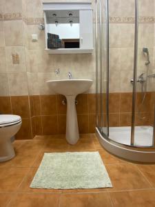 a bathroom with a sink and a shower at Amelia Beach Apartments in Agios Ioannis Pelio