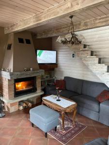 a living room with a couch and a fireplace at Private cottage house near Ljubljana in Šentvid pri Stični