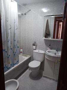 een badkamer met een toilet, een wastafel en een douche bij Sandino 10 in Santiago de Compostela