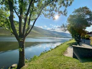 ベルンカステル・クースにあるFerienwohnung Moselの川の木々の眺め