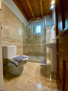 a bathroom with a shower and a toilet and a sink at Villa Azure in Skiathos