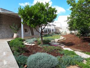 een tuin voor een huis met planten bij Casa Vacanze a Sud del Ciolo in Gagliano del Capo