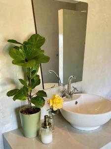 Fotografie z fotogalerie ubytování Klipfontein Farm House v destinaci Molteno + 47 fotografií