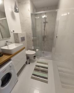 W łazience znajduje się prysznic, umywalka i toaleta. w obiekcie Apartament Ami Stegna w Stegnie