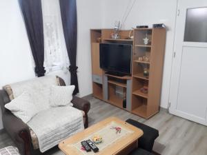 バニャ・コヴィリャチャにあるLazarev konak apartman kucicaのリビングルーム(椅子、テレビ付)