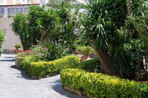 a garden with plants and trees and a sidewalk at La Residenza Capri in Capri