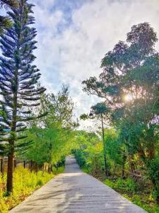 a road with trees on both sides of it at StayPlus Tagaytay London Suite 50MBPS WIFI+parking in Tagaytay