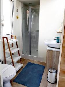 a bathroom with a shower and a toilet and a sink at Mobilheim ANDREA wunderschöne Ferienwohnung direkt am Meer in Jezera