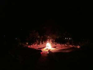 Fotografie z fotogalerie ubytování Freedom camp Ella v destinaci Ella