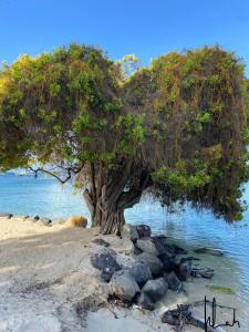 Paesaggio naturale nelle vicinanze dell'appartamento