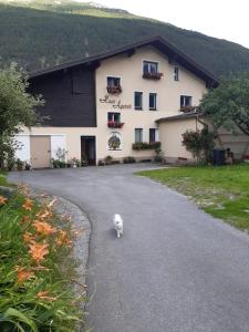 Nespecifikovaný výhled na hory nebo výhled na hory při pohledu z apartmánu
