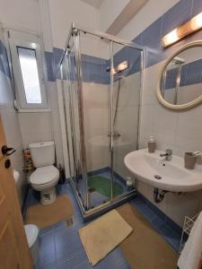 a bathroom with a shower and a toilet and a sink at LiriKa's airport house in Artemida