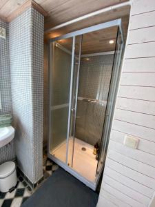 a shower with a glass door in a bathroom at Stubbhuggets Lillstuga in Trosa