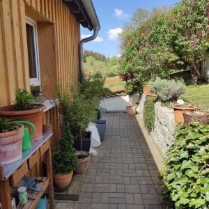 Gschwend的住宿－Ferienloft im Grünen，庭院里小花园,种植了盆栽植物