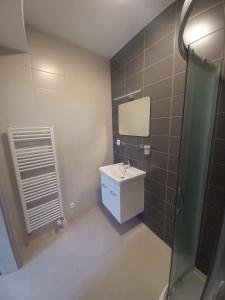 Koupelna v ubytování Penzion U strejčků