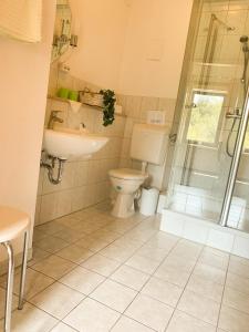 een badkamer met een toilet, een wastafel en een douche bij Doppelzimmer an der Lahn ohne Küche in Obernhof