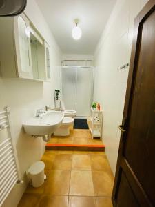 a bathroom with a sink and a toilet and a shower at Agriturismo “Sterrati” in Valpiana