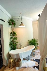 a bath tub in a room with plants at Barrique Chambers in Braşov