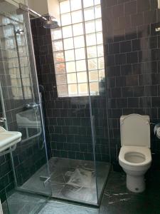 
a bathroom with a toilet, sink, and shower stall at One Room in Ostend
