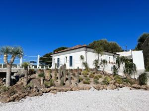 Ein Haus mit einem Haufen Kakteen davor. in der Unterkunft infinity Castellabate b & b di Charme in Santa Maria di Castellabate