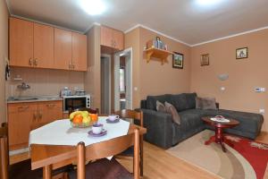Kuchyň nebo kuchyňský kout v ubytování Apartman Ristivojevic Zlatibor