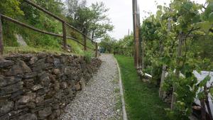 Zahrada ubytování Agriturismo U muinettu