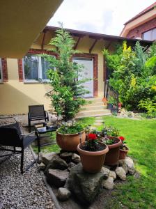 a group of potted plants in front of a house at Ubytovňa Ivona in Hroboňovo