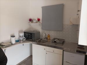 mała kuchnia ze zlewem i kuchenką mikrofalową w obiekcie Demy's Studio w Acharavi +15 zdjęć