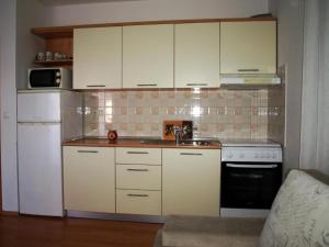 Kuchyňa alebo kuchynka v ubytovaní Apartment Adriatic