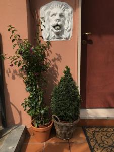 uma porta da frente com dois vasos de plantas e um rosto na porta em Appartamento con terrazza e posto auto Libri e Giardini em Pero
