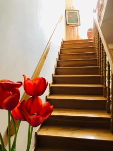 a set of stairs with red flowers next to them at Willa Halina in Sandomierz