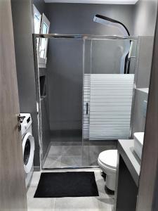 La salle de bains est pourvue d'une douche, de toilettes et d'un lavabo. dans l'établissement Armonia - Brand new apartment in Ermioni Village, à Hermione