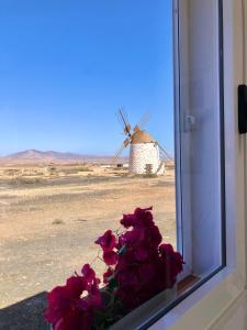 a window with a bunch of flowers and a windmill at Casa Lucilita in Valles de Ortega