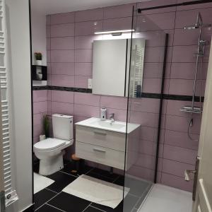 een badkamer met een toilet, een wastafel en een spiegel bij Un petit coin de paradis 2 in Clairfontaine