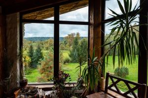ein Fenster mit Blick auf ein Feld und Bäume in der Unterkunft Gęsi Zakręt in Ustrzyki Dolne