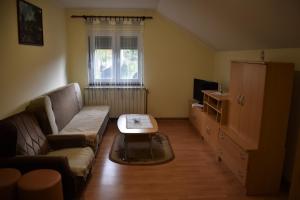 TV a/nebo společenská místnost v ubytování Apartments Sabljak