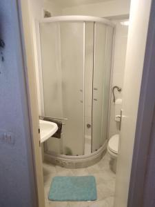 a bathroom with a shower and a toilet and a rug at Apartment Ammonite in Premantura