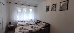 Posteľ alebo postele v izbe v ubytovaní Apartamenty AgPa7