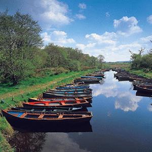 Gallery image of Killarney Avenue in Killarney