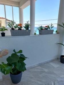 Fotografie z fotogalerie ubytování Nefeli Seaside Apartments v destinaci Polychrono