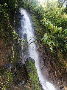 a waterfall on the side of a mountain in the jungle at Apartment near Waterfall of love, free Wifi in Jardin