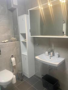 a bathroom with a white sink and a toilet at Apartment Anita in Bottrop