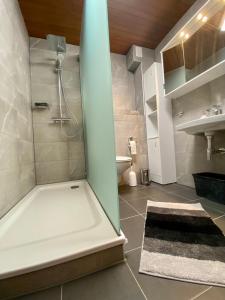 a bathroom with a shower and a sink at Apartment Anita in Bottrop