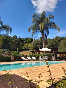 アチバイアにあるPousada Realeza Atibaiaのヤシの木があるスイミングプール