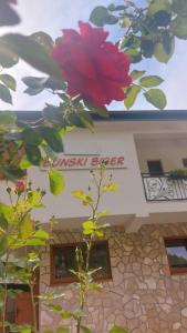 een gebouw met een rode roos ervoor bij Villa Bunski biser in Blagaj