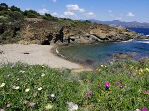 Táj Show holiday homes közelében