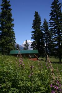 una cabaña en un campo con árboles y flores en Mount Robson Lodge, en Monte Robson