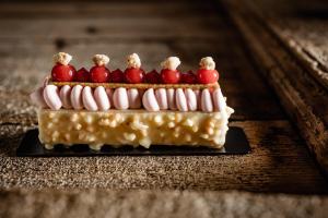 un pastel con cerezas encima de él en un plato en Panorama Residence Saltauserhof Resort en Saltusio