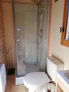 a bathroom with a toilet and a glass shower at La Roulotte du Herdal in Profondeville